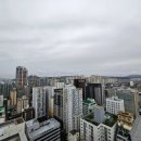 슈가리얼티부동산중개법인주식회사 이미지