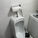 돼지랑돌이랑 이미지