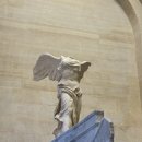 당하1호공원 | [파리 4박5일 여행🇫🇷] 루브르·베르사유·에펠탑·바토무슈까지 하루 2만보 불나게 걸었다..