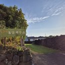 돌담하우스(민박) 이미지