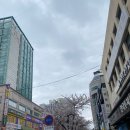 텐퍼센트커피안산