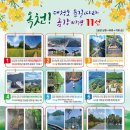 트래블어드바이저 이미지