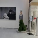 진미용타운 - 안산시 상록구 | 진미용타운