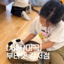 세라젬 마곡점 | [강서/마곡] 주말 아이랑 가볼만한곳 고양이 카페 '부타캣 강서점' 내돈내산 솔직장단점 (간식 꿀팁...