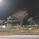 나이아드펜션모텔 이미지