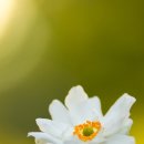 카림황제공인중개사사무소 이미지