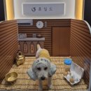 휴일 | 이천 찜질방 추천: 애견동반 가능한 ‘휴일도’ 솔직후기