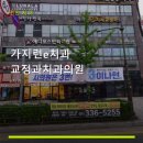 가지런e치과의원 | 가지런e치과교정과치과의원 진료 과목 및 이용 안내