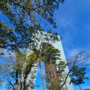 루미2발전소 | 경주 엑스포공원 경주 아이와 가볼만한곳 경주여행