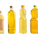 프레비스 이미지