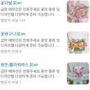 꽃을닮다루체테플라워 이미지