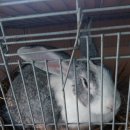 우리집농장 이미지