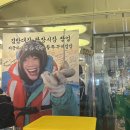 임회면 십일시장 | 김밥대장 광장시장 팝업 | '활쭈꾸미 미나리김밥' 팝업 토요일 방문후기(위치, 메뉴, 가격)