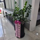 한샘워터피아 | 인생 머리 찾았다! 제주노형동미용실 해피니언 제주 노형점 다녀온 후기