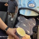 국제빌딩 | 사은품 많이 주는 2026 서울국제유아교육전&amp;키즈페어 다녀온 후기
