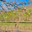 병산빛물꿈테마길 | [기장] 병산저수지 테마길 벚꽃 개화상황 부산 숨은 벚꽃명소 기장벚꽃 야경명소