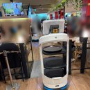 광복동 와이즈파크 | 현장 웨이팅 대신 캐치테이블로 들어간 부산 이재모피자 본점