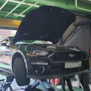 남성모터스 이미지