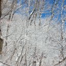 황골공원 이미지