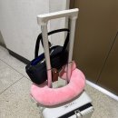 (주) 모터원 의정부지점 | 의정부 을지대 자궁 용종 자궁경 수술 후기.