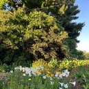 서하동 별장 이미지