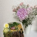 헬시플레저 | 역삼역 샐러드 맛집 '헬시플레저' 후기🥗 스테이크샐러드·케일쥬스로 건강하게 한 끼!