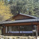 멍멍이와 숲속에서 이미지