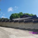 함평 자형정 이미지