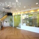 봄사랑동물병원 네이버블로그