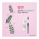 하얀허브 이미지