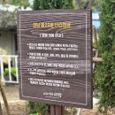 까페사랑 | 양산 대형카페 정원이 있는 느티나무의사랑 카페 내돈내산 후기 및 주차정보