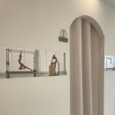 필라테스영 - 창원시 마산회원구 북성로 146 | 필라테스영