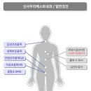 신사우리베스트내과의원 이미지