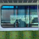 숯불타오른닭 | 감자는 묵어봤나