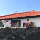 밖거리 민박 이미지