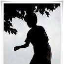 신자초등학교 이미지