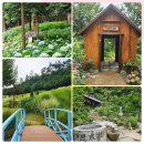 조형벤치(소) | 🪻보성 윤제림 성림정원 실시간 수국 명소 입장료, 지도, 주소 ➕ 춘운서옥 한옥 카페 메뉴 전남 아이와...