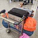 하늘내린골프랜드 | [망극기행] 일본 구마모토 골프여행_첫째날 아소 하이랜드, 아소그랑브리오 체크인