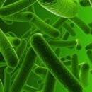 이례로-3 이미지