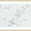 실기응용편-44. 손목과 손가락의 통증 이미지