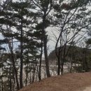 마리들농장 이미지