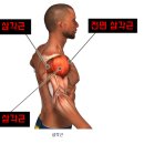 유니크짐 이미지