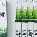 비비드보리