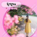 밤티재길 네이버블로그