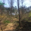 울진군근남면진복보건진료소 이미지