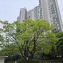 래미안마트 | 🏡 의정부 신곡동 상록아이파크 올확장 조건 좋은집 매매