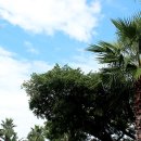 우봉목장 이미지