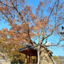 물우경로당 | 전북천리길: 발닿는 풍경마다 시가흐르는 섬진강길^^