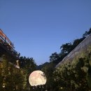 곤룡로 | [대전 대형카페] 내돈내산 밤에 가야 진짜 예쁜 곳 낭월동✨ 라밸리 카페🌙🐇☕