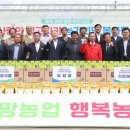 사랑의 집 이미지